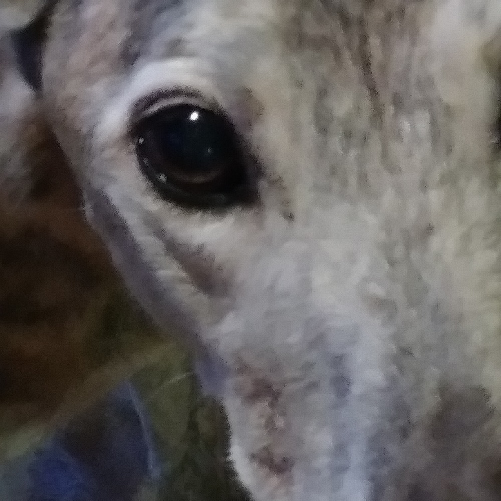 Meet your Posher, Cynthia